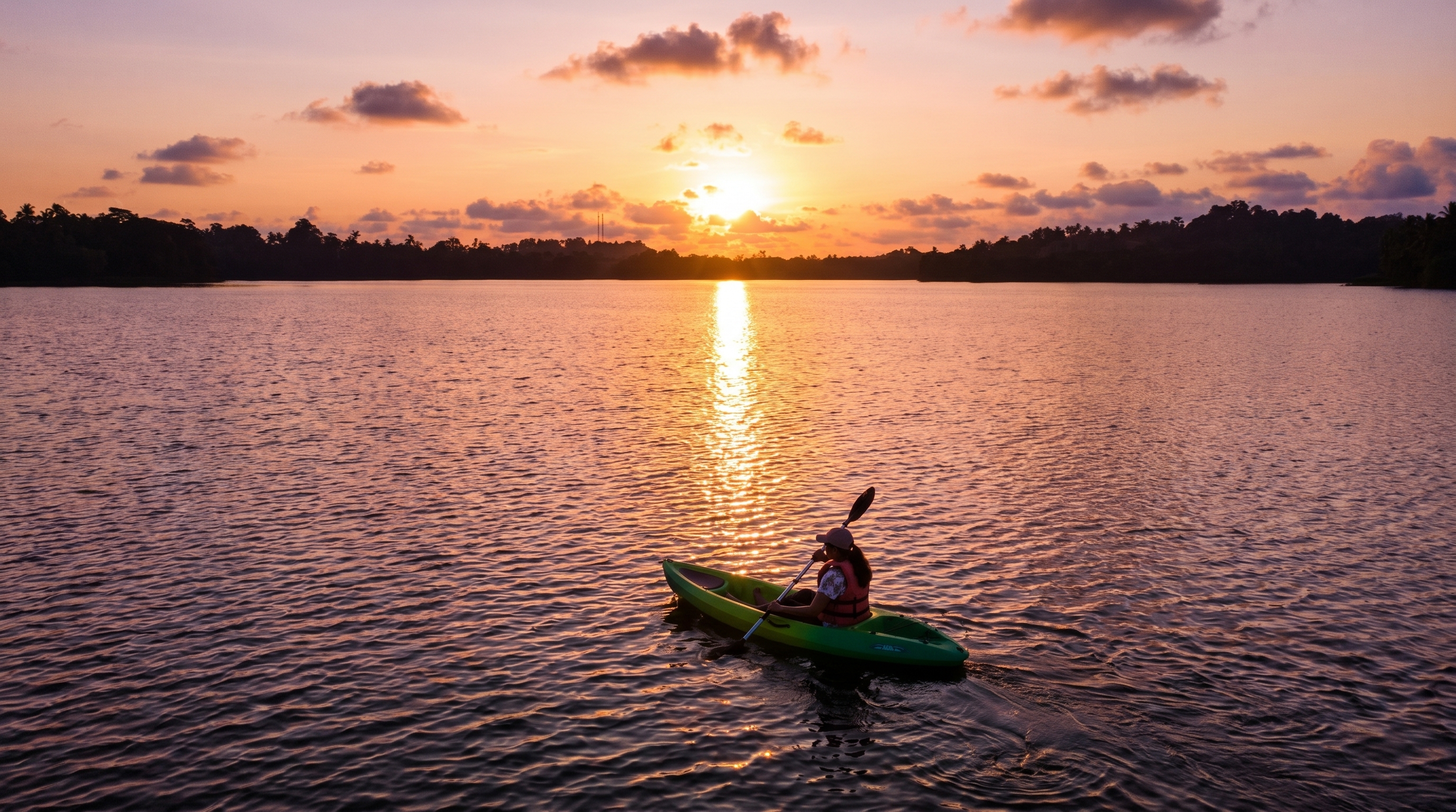 Kayaking in the mangrove